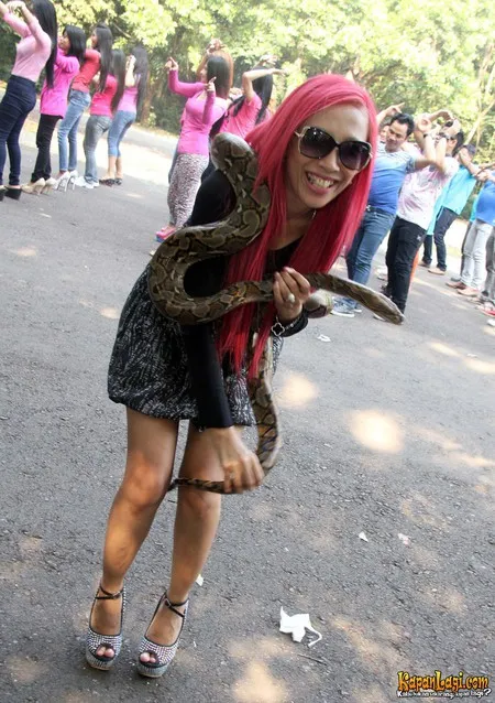 Foto Dewi Sanca