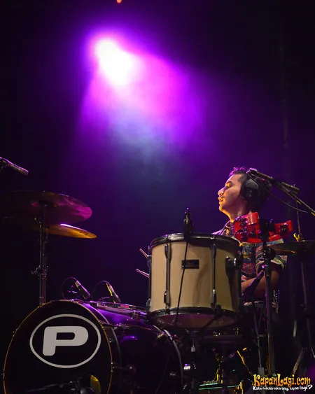 Foto Elephant Kind Band