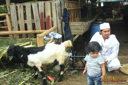 Foto Guntur Bumi