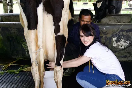 Foto JKT48