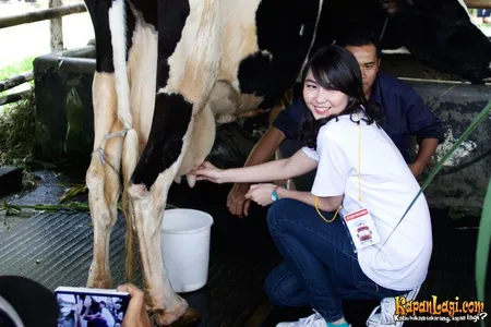 Foto JKT48