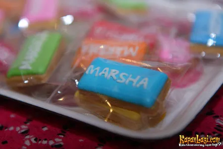Foto Marshanda