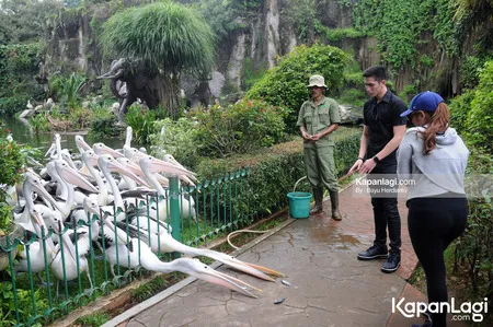 Foto Nadine Waworuntu