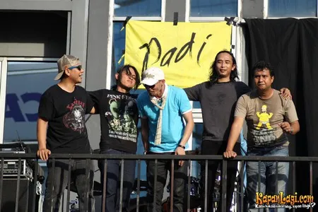 Foto Padi