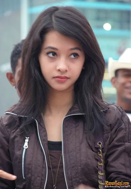 Foto Poppy Bunga Foto Poppy Bunga