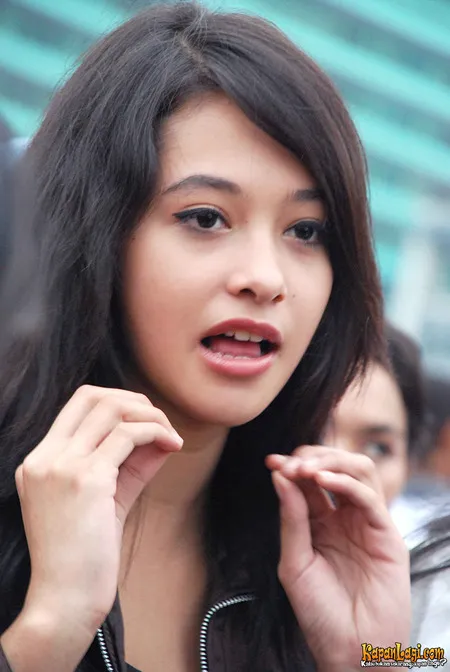 Foto Poppy Bunga