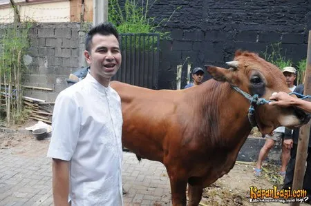 Foto Raffi Ahmad