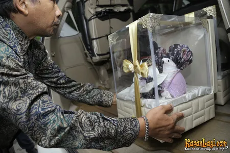 Foto Rendy Aditya Gunawan