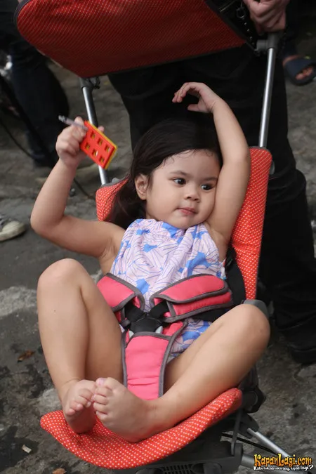 Foto Safeea