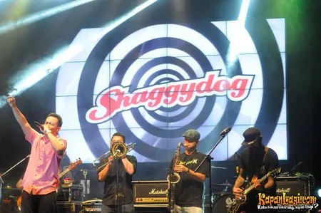 Foto Shaggydog