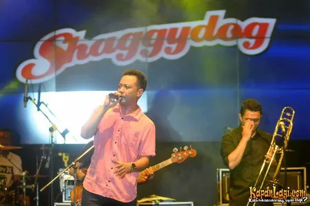 Foto Shaggydog