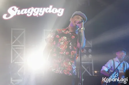Foto Shaggydog
