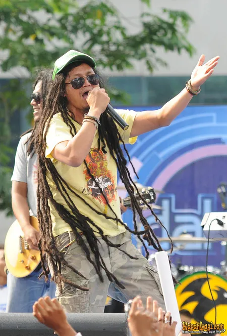 Foto Steven and The Coconut Treez