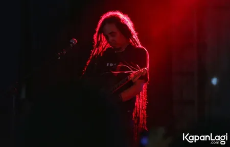 Foto Steven and The Coconut Treez