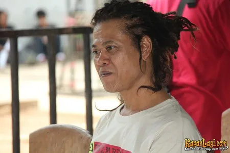 Foto Tony Q Rastafara