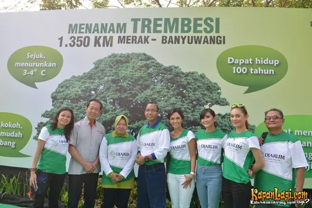 Foto Tri Rismaharini