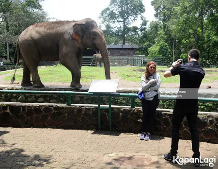 Foto Verrell Bramasta