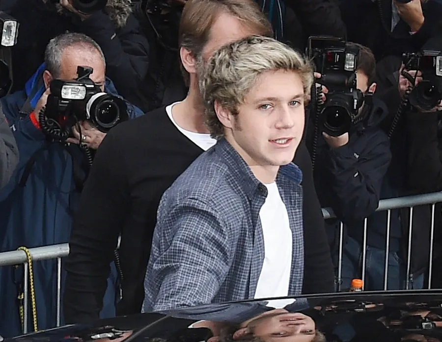 Niall Horan ditaksir sama Meghan Trainor, serius nggak ya? ©Fameflynet