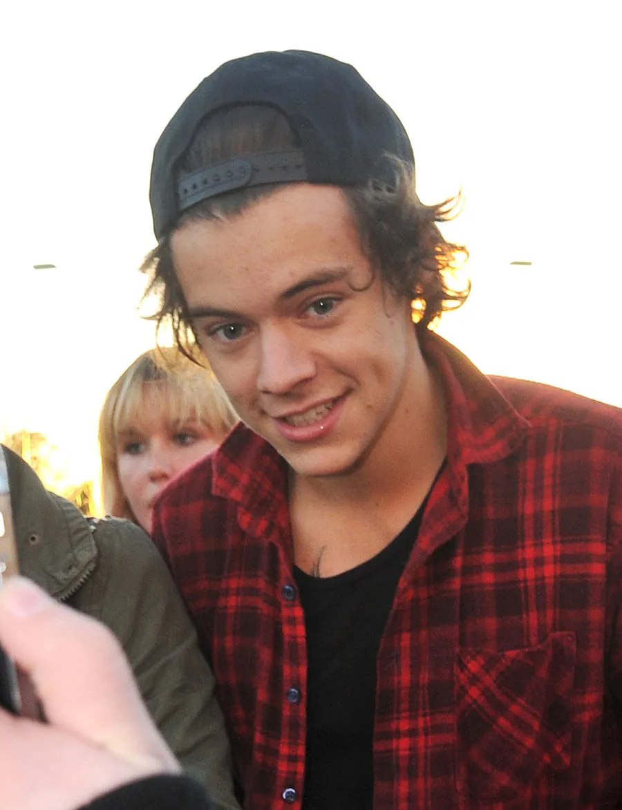 Harry Styles ©fameflynet