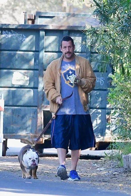 Foto Adam Sandler