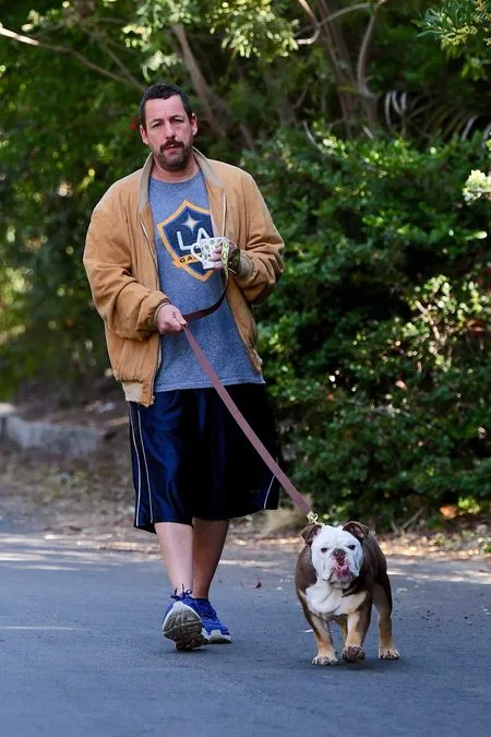 Foto Adam Sandler