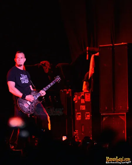 Foto Alter Bridge