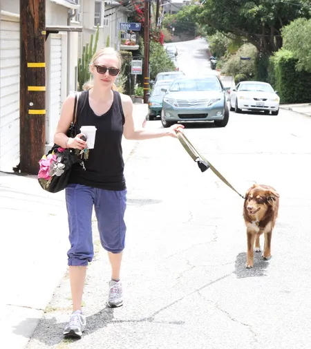 Foto Amanda Seyfried