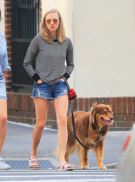 Foto Amanda Seyfried