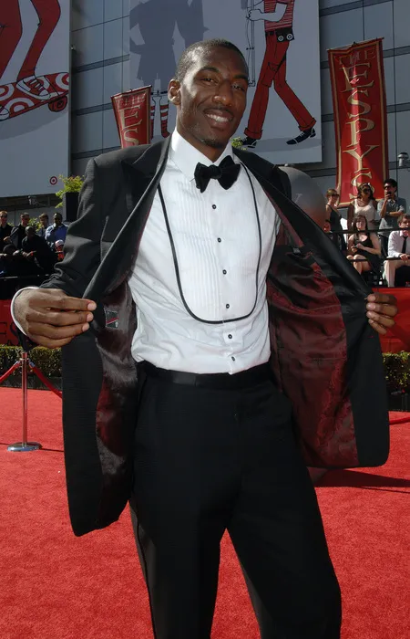 Foto Amare Stoudemire