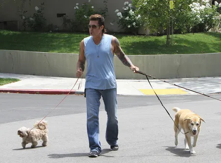 Foto Billy Ray Cyrus