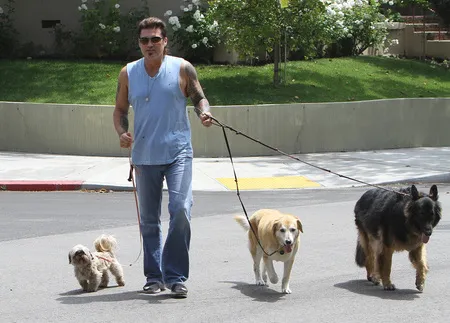 Foto Billy Ray Cyrus