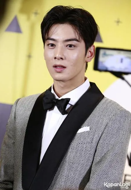 Foto Cha Eun Woo