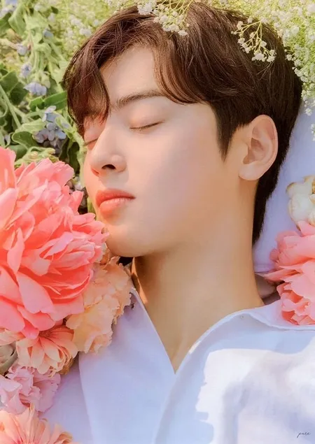 Foto Cha Eun Woo