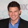 David Boreanaz
