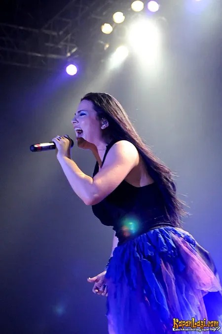 Foto Evanescence