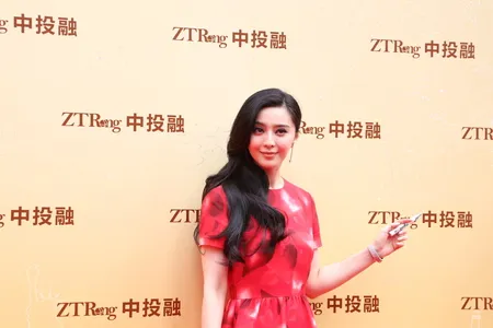Foto Fan Bing Bing