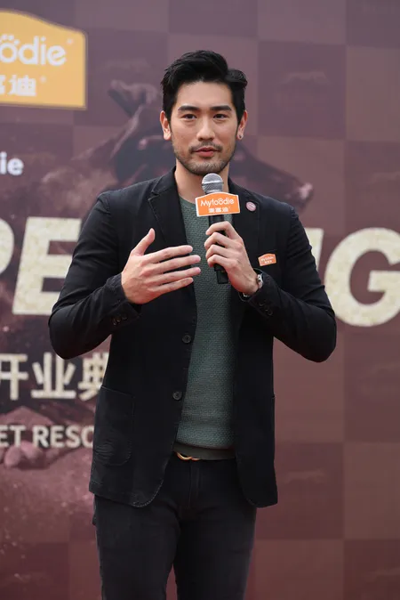 Foto Godfrey Gao