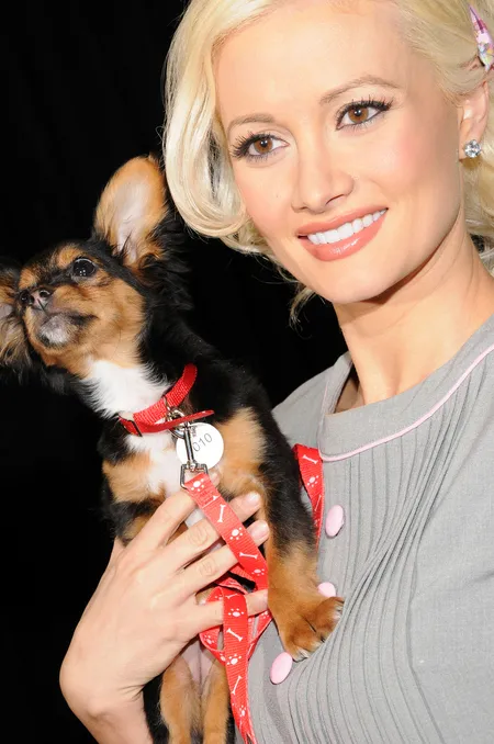 Foto Holly Madison