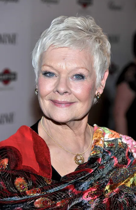 Foto Judi Dench