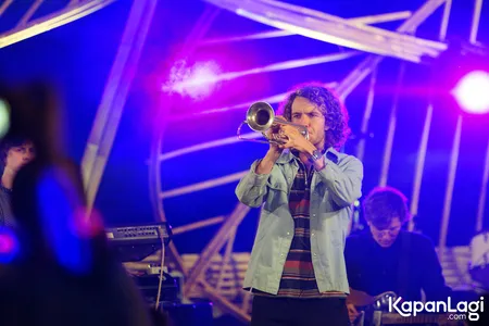 Foto Jungle By The Night