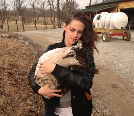 Foto Kristen Stewart