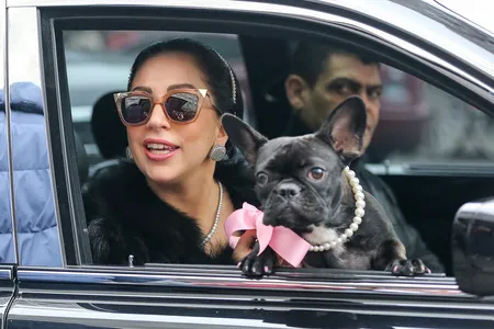 Foto Lady Gaga