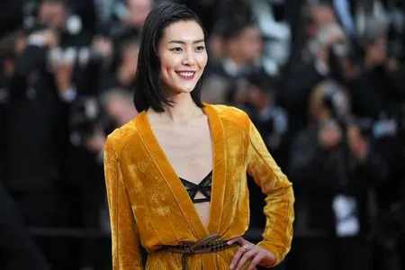Foto Liu Wen