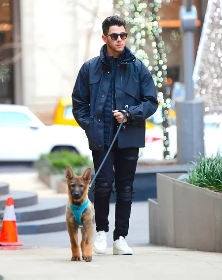 Foto Nick Jonas