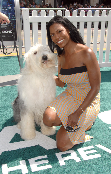 Foto Omarosa. Nomor Foto: 026