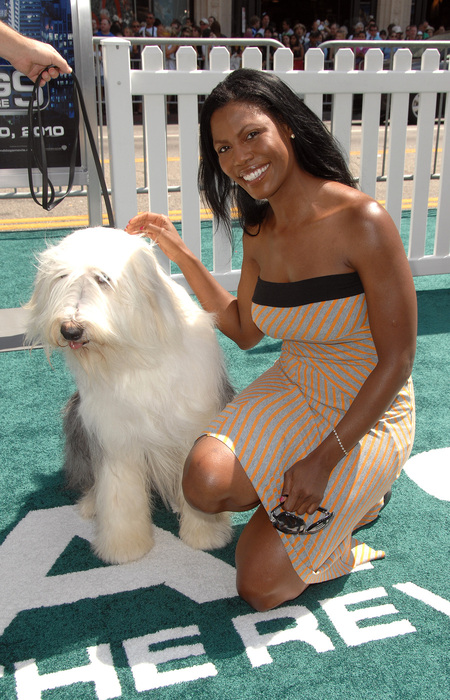 Foto Omarosa. Nomor Foto: 027