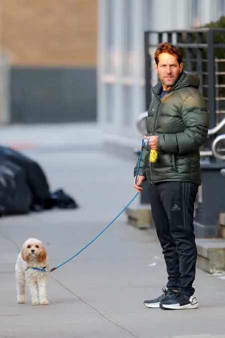 Foto Paul Rudd