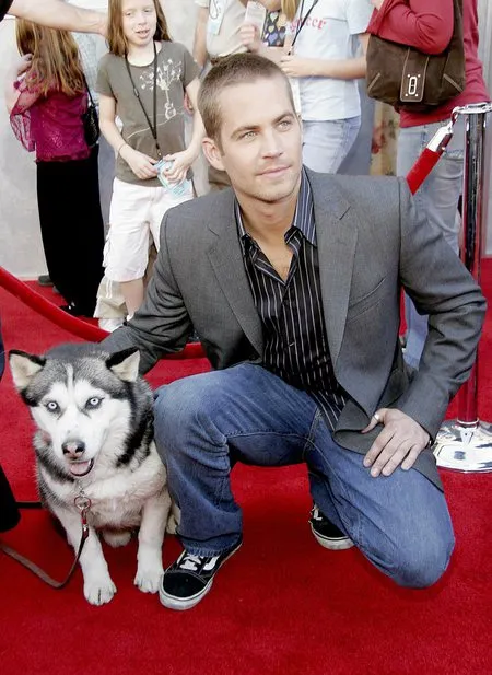 Foto Paul Walker