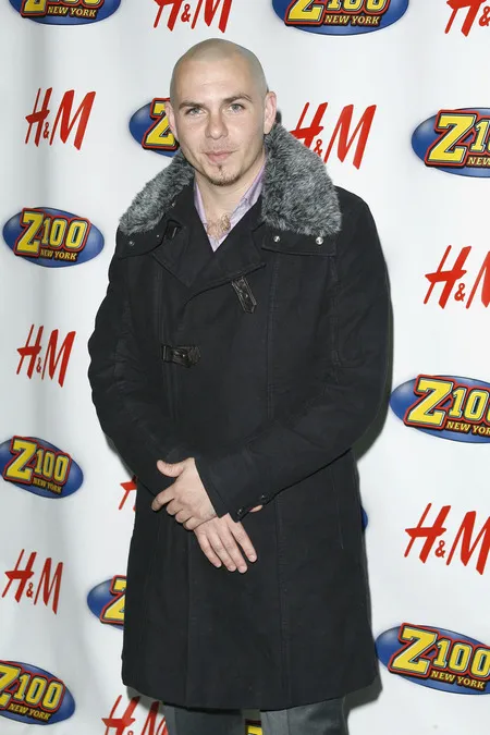 Foto Pitbull