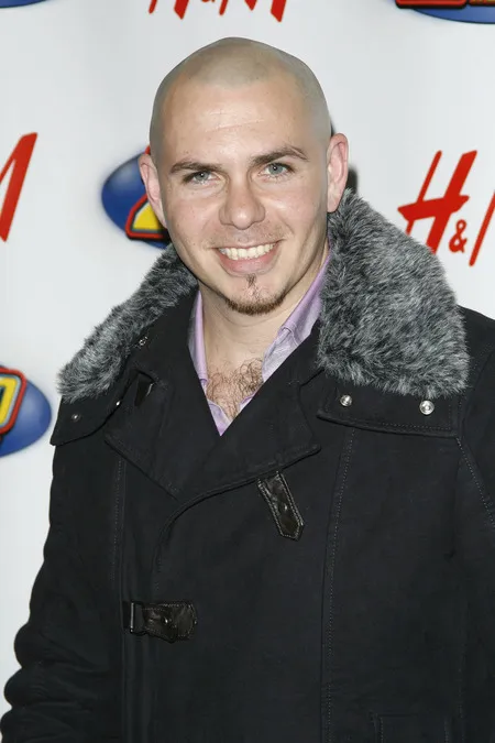 Foto Pitbull